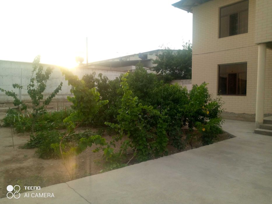 Ховли уй сотилади Садвин савхўзда