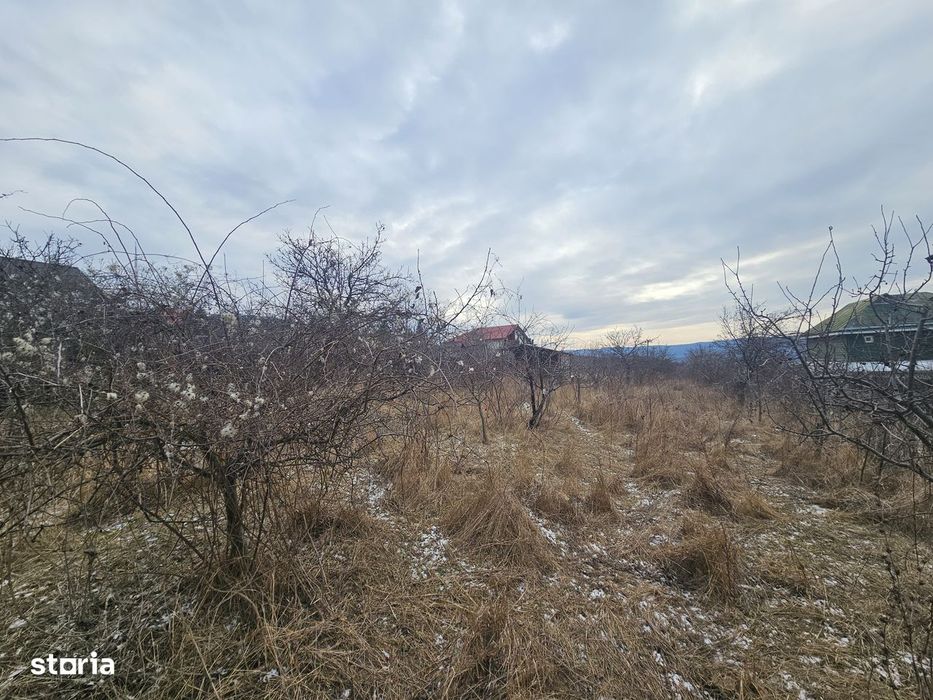 Teren Barnova-Pietrarie