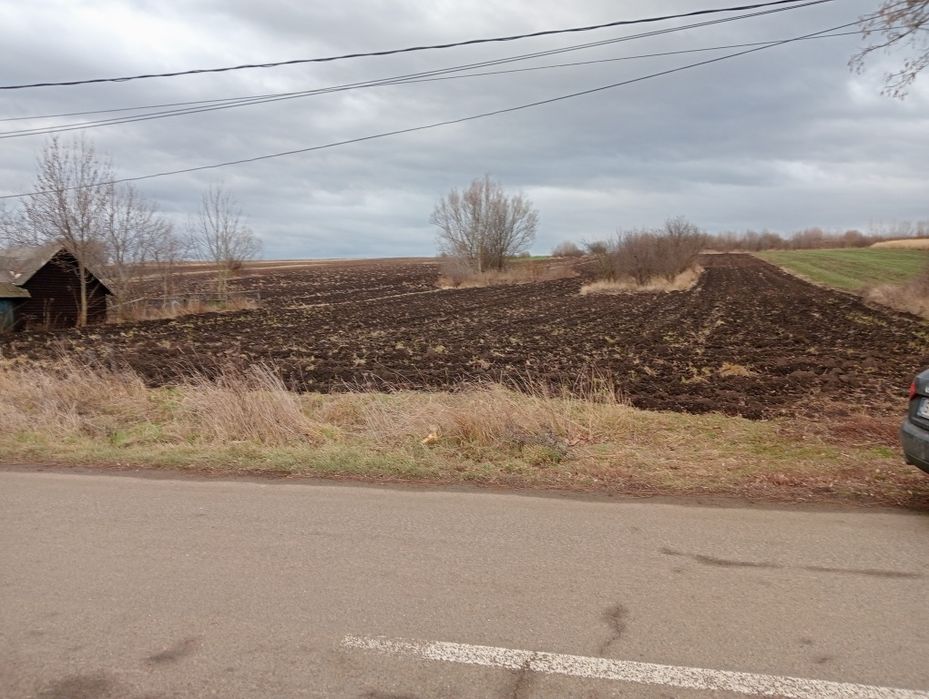 Parcelă teren intravilan 36 ari Grămești Suceava