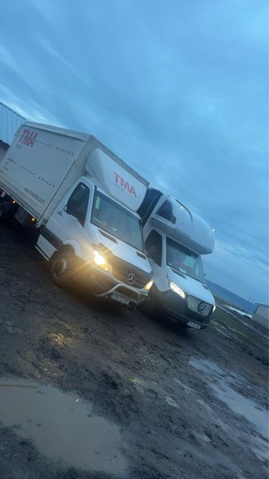 Transport animale vii!