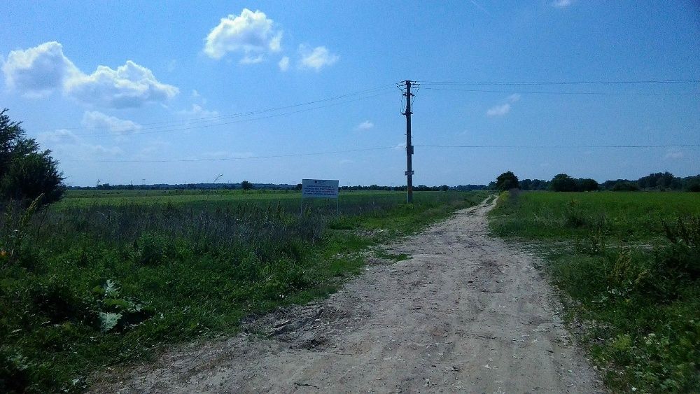 Teren 5000 mp Măgurele - Zonă în plină dezvoltare!