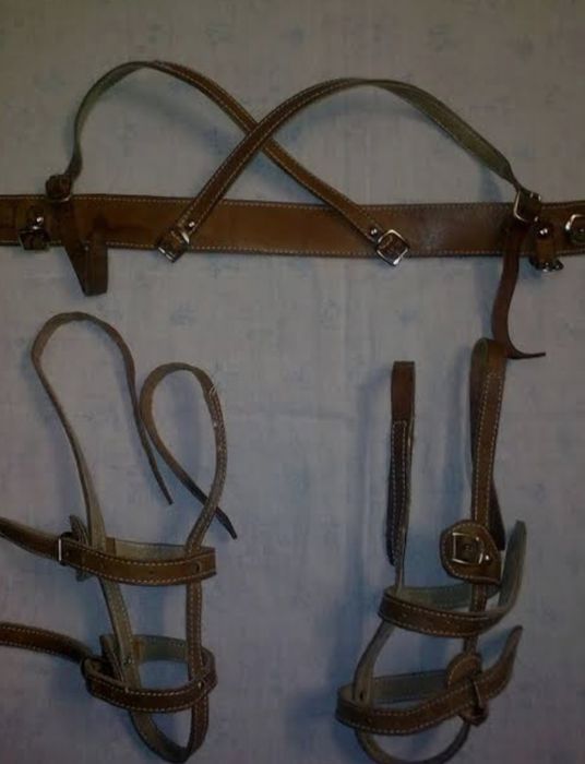 Стремена Павлика