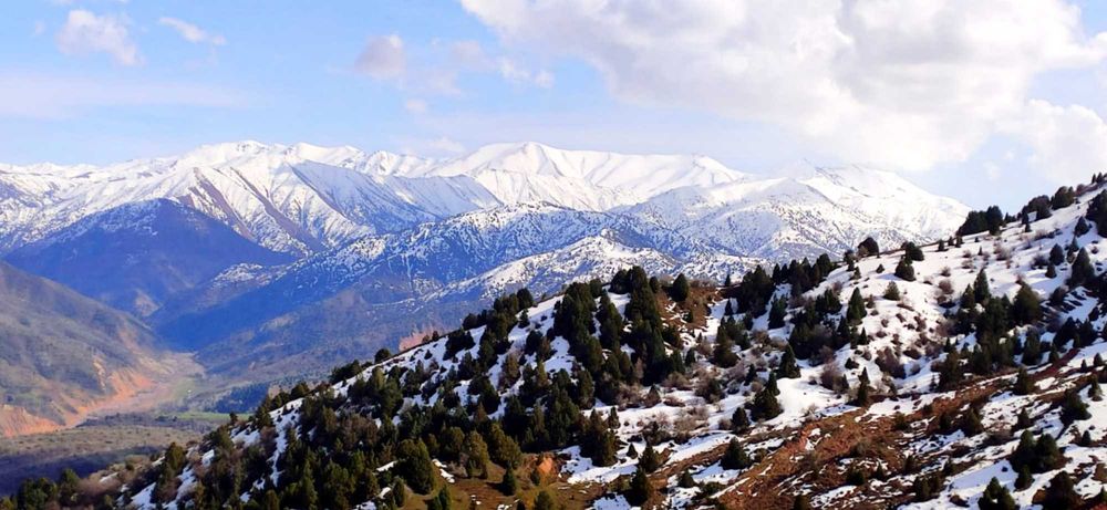 Организация активного отдыха - походы и прогулки по горам Узбекистана