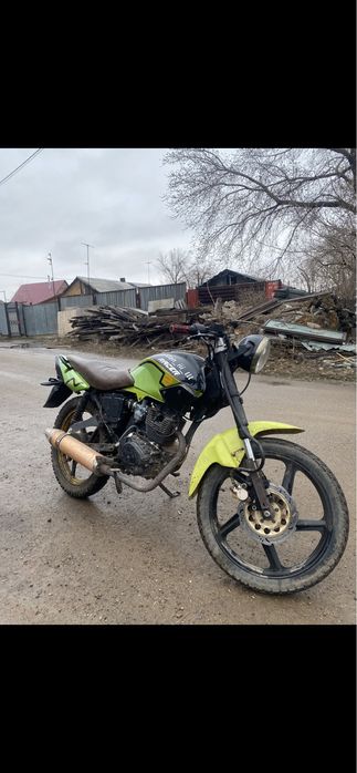 Продам рейсер тигр