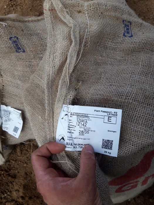 Картофи за консумация