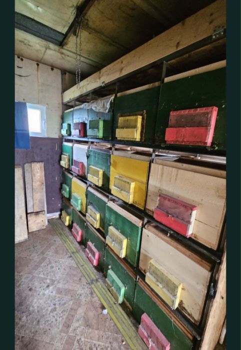 De vânzare Pavilion apicol