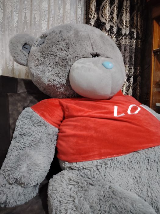 Juda katta ayiq sifatiga garantiya