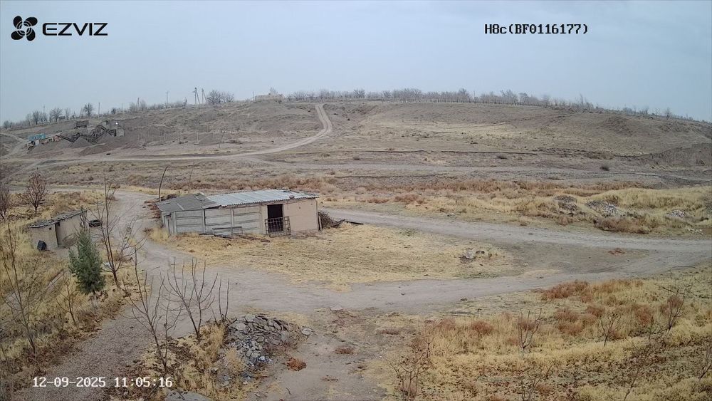 Бог 2гектар Гилос майский