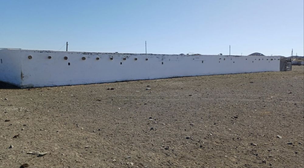 К/Х сатылады продаётся!