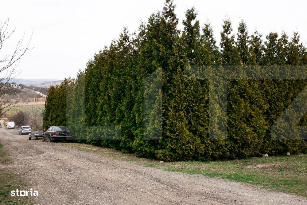 Teren 7088 mp in Borhanci – achizitie integrala sau separata - trei