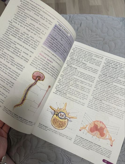 Manual biologie corint + carte de grile pe baza corintului