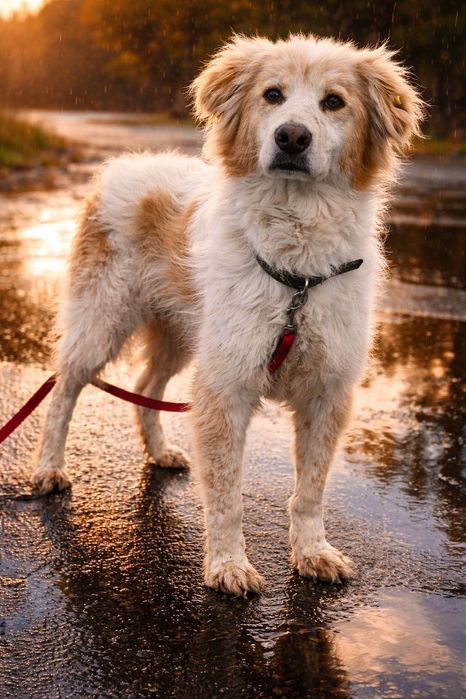 Очень красивый мальчик