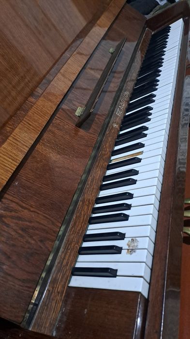 Алам деушілер келіп көруге болады !!!