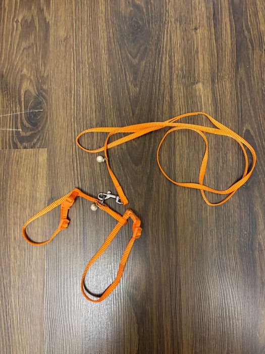 Ошейник для кошек