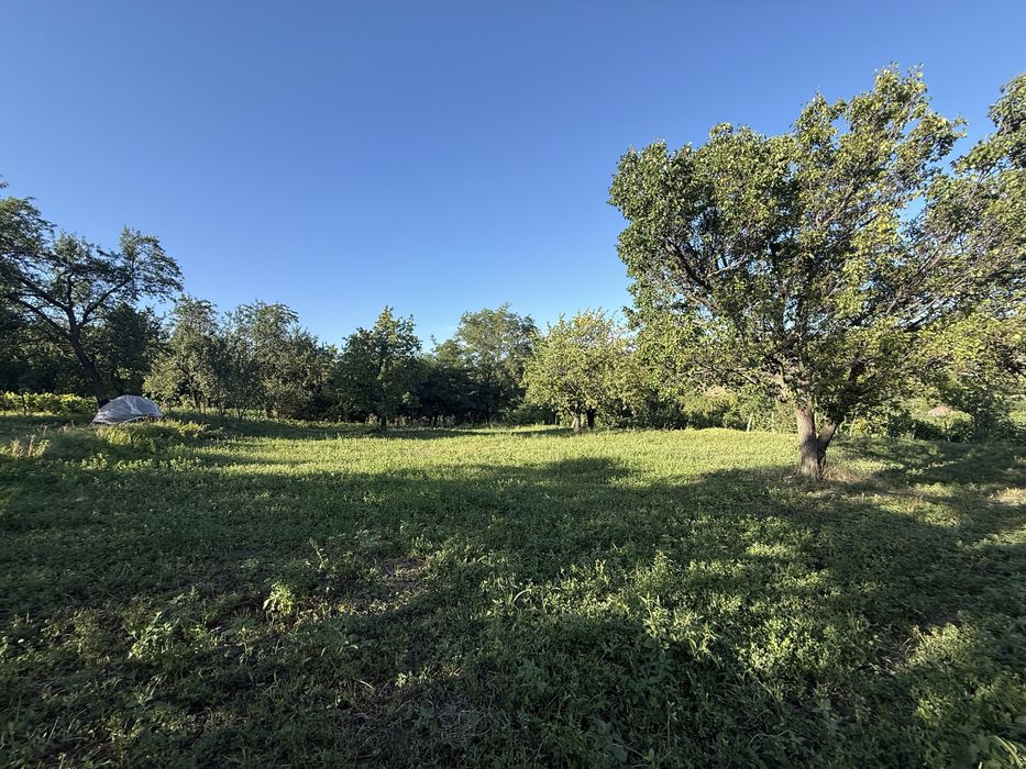 Casa + teren zona viticola Cotnari / Cucuteni- sat Baiceni