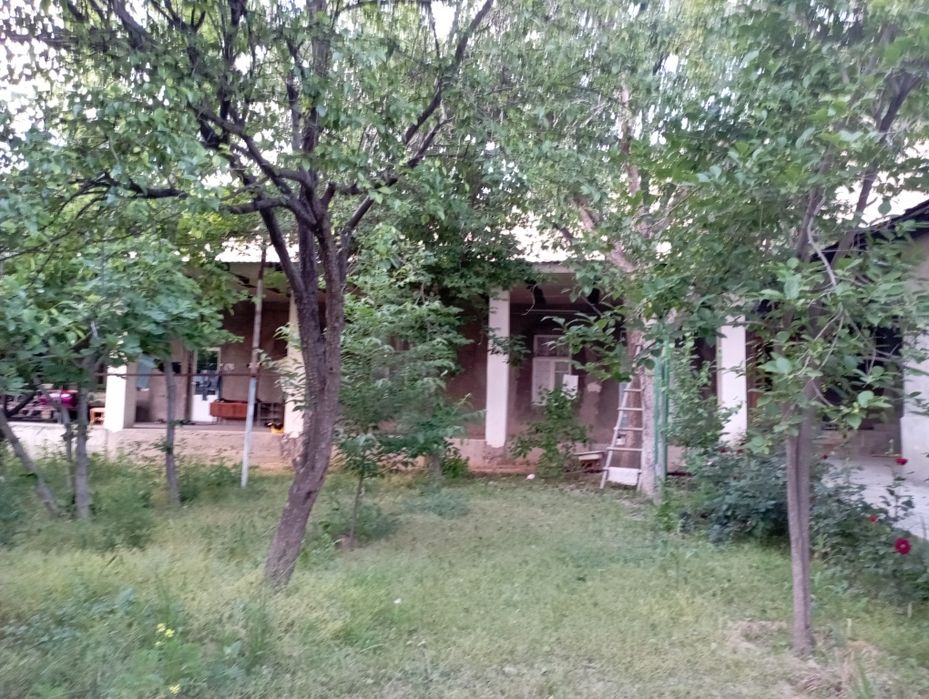 8 су́тих Участка сотилади йэрни нархида  бу́либ хам сотилади