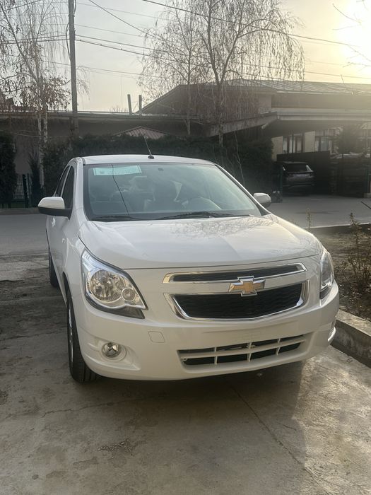 Cobalt 2026 MCM Arenda