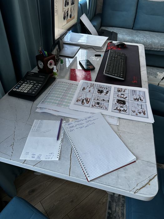 Продам стол и стулья 6 штук