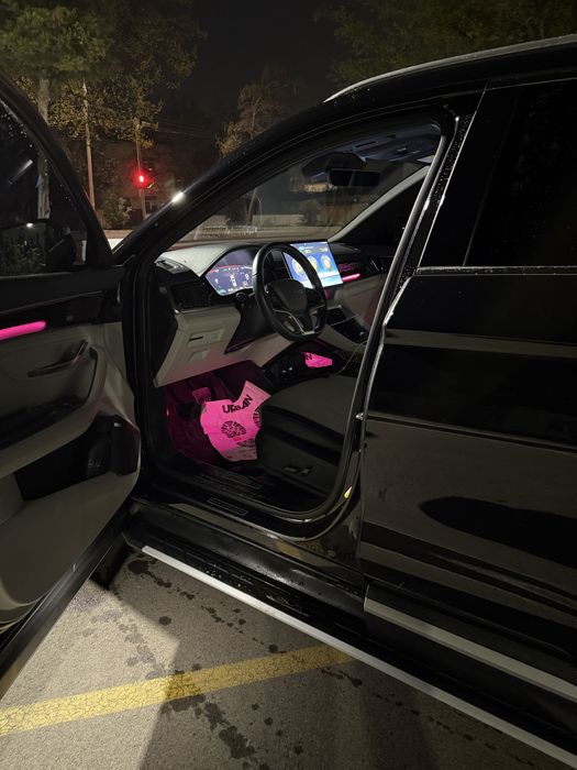 BYD Chempion 2024 Full