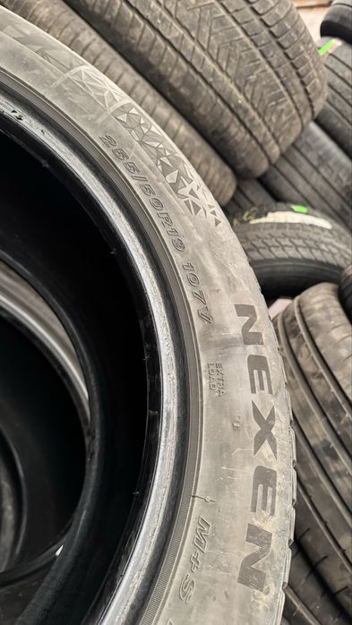 255 50 19 гуми шины 2 штуки nexen зима