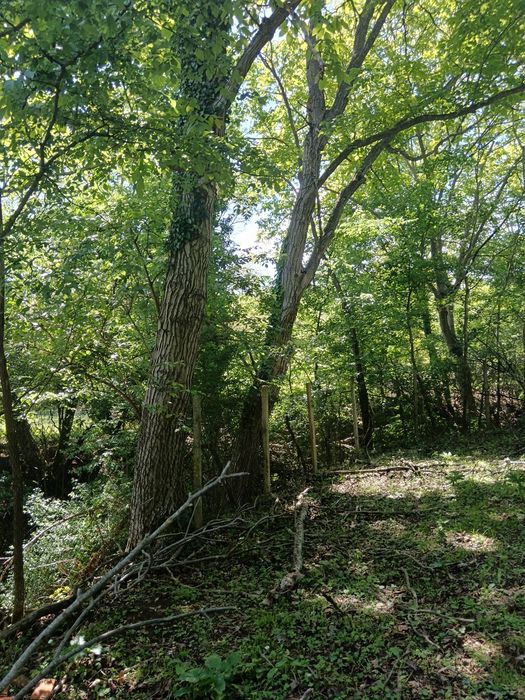 Парцел в регулация 650 кв. м. гр. Ябланица