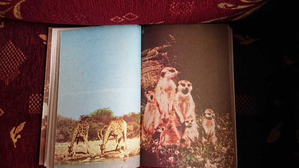 Сред животните на Африка от Бернхард Гжимек.