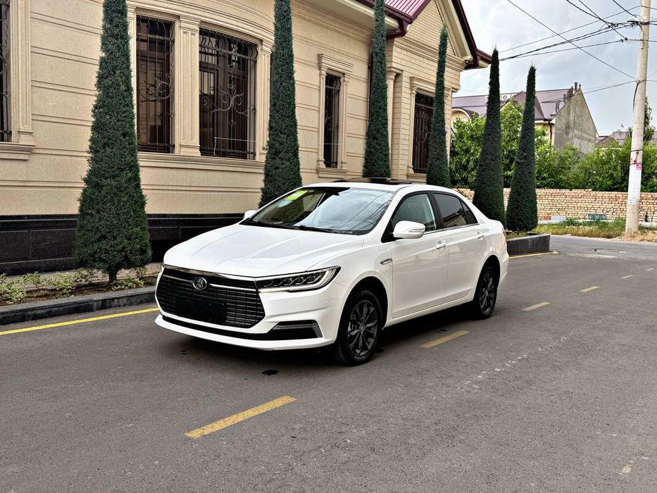 BYD QIN 450Km 2024 Standart Plus Состаяние Зор