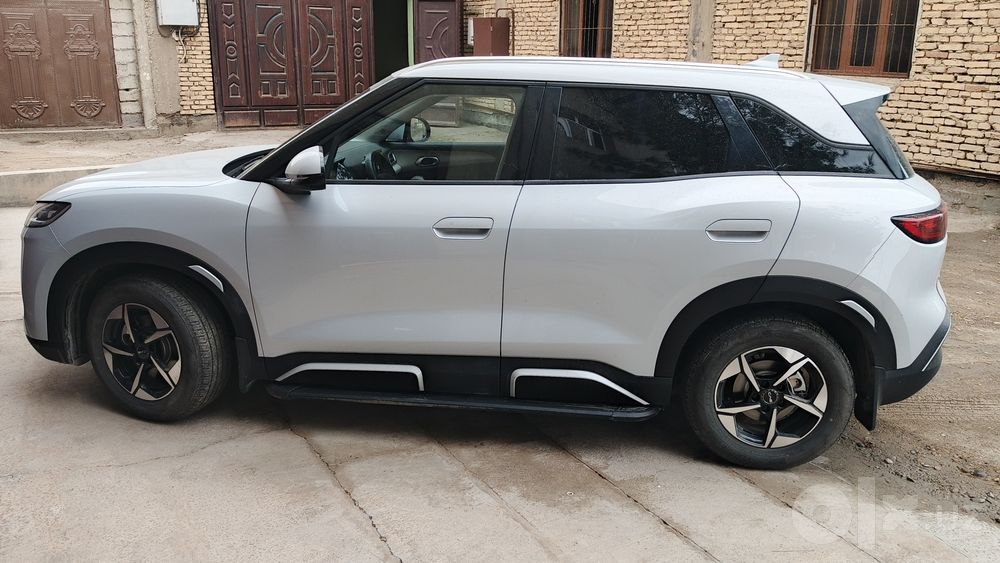 BVD yuan ap 2025