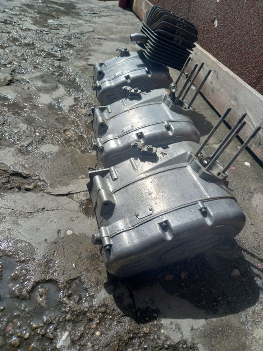 Motoare mobra hoinar