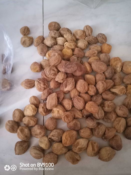 Продается сушёный урюк с косточками