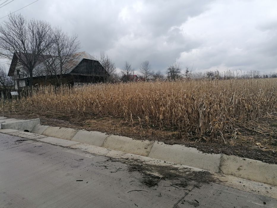 Teren intravilan Fratautii Noi