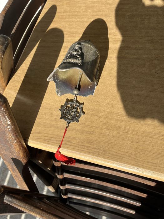 Продавам Китайска хлопка 55лв