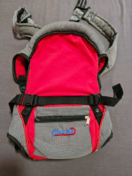 Кенгуро чиполино