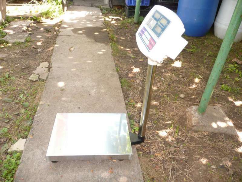 Везна / Електронен Кантар до 40 кг