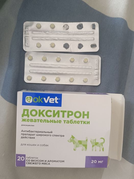 Приботик для кошек