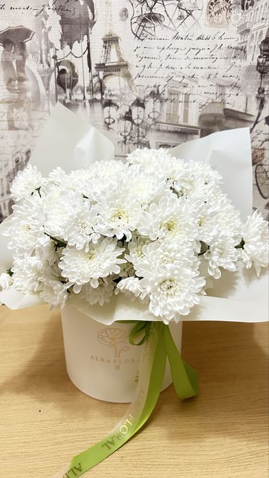 ЦВЕТЫ! Белые хризантемы