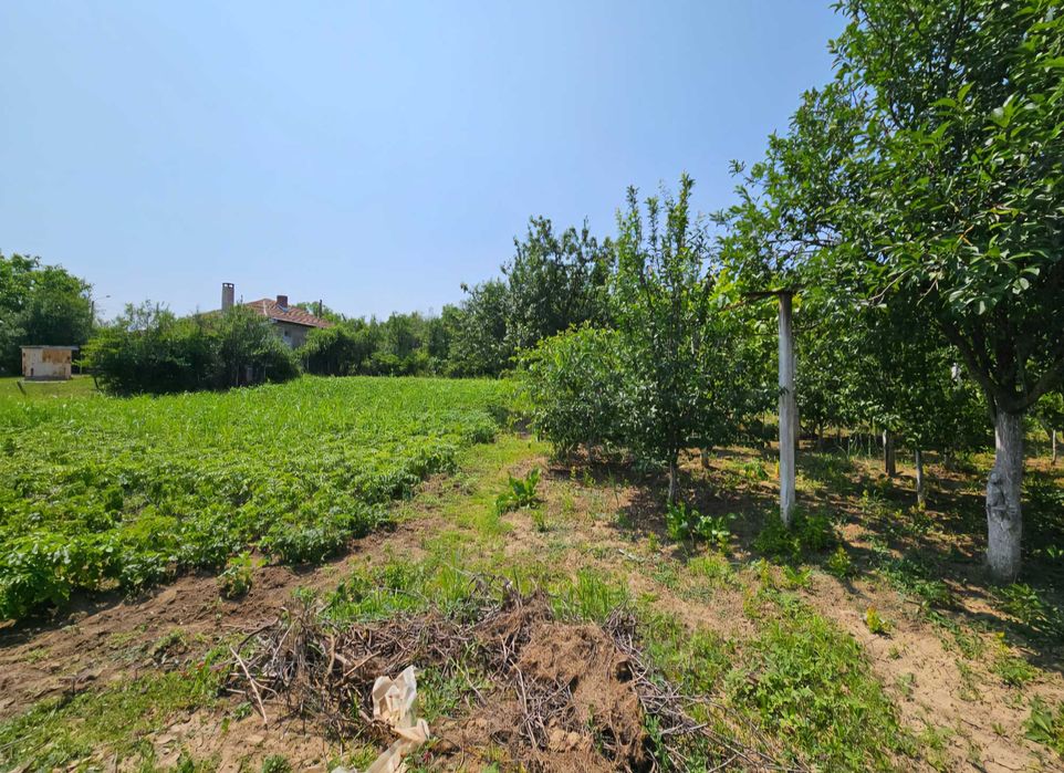 Продава се Къща в с. Церова кория, Област Велико Търново - 120 кв.м за 605 €/кв.м - Снимка #3