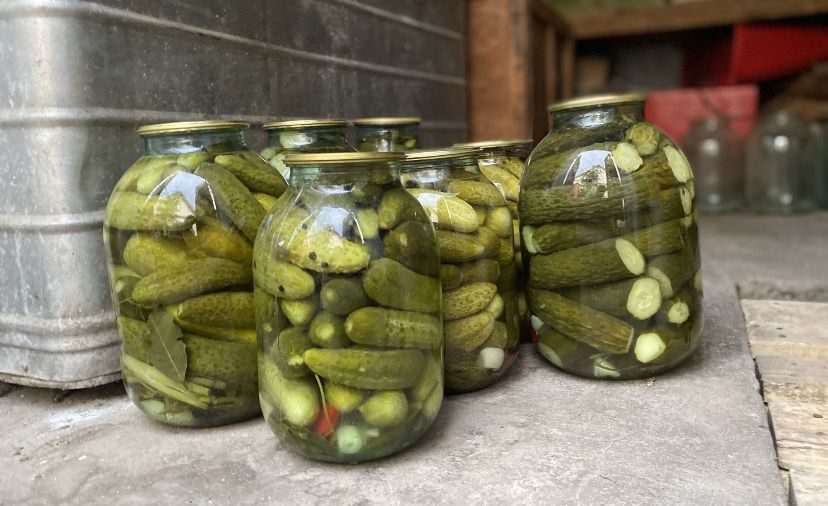 Продам домашние огурцы соленные