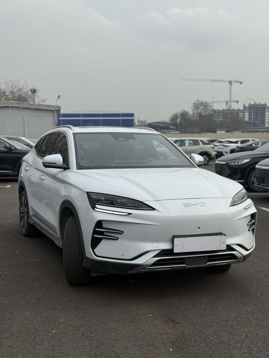 Smart BYD chempion 2024-25