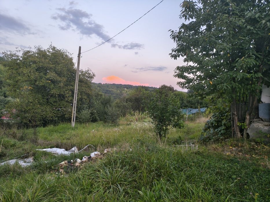 Vând casă bătrânească Leontinesti  jud Bacău locuibila și teren de 5000 m , cu livada și vie