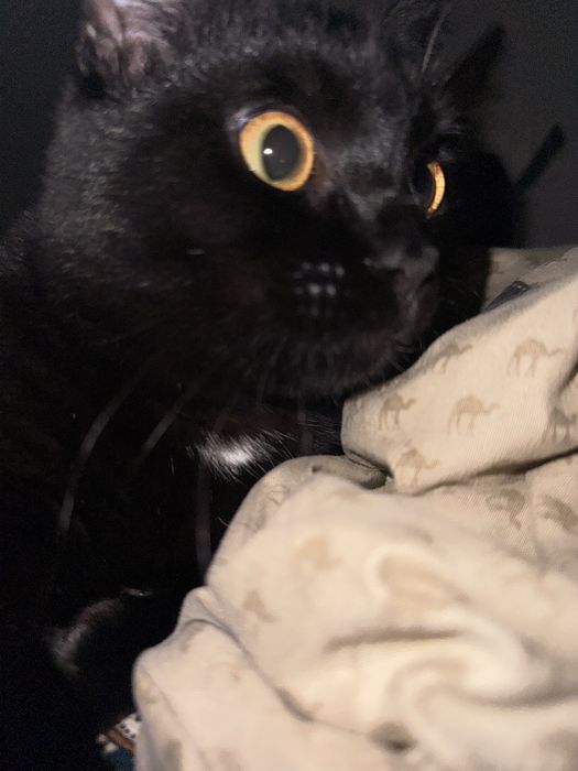 Бесплатно 10 месяц