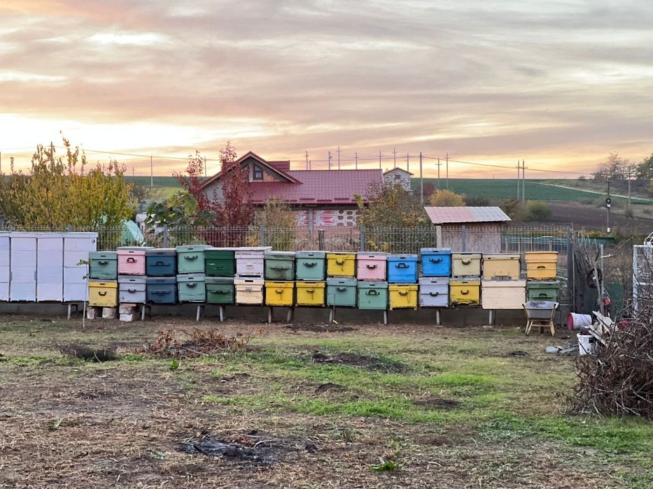 Centrifuga miere patru rame,inox