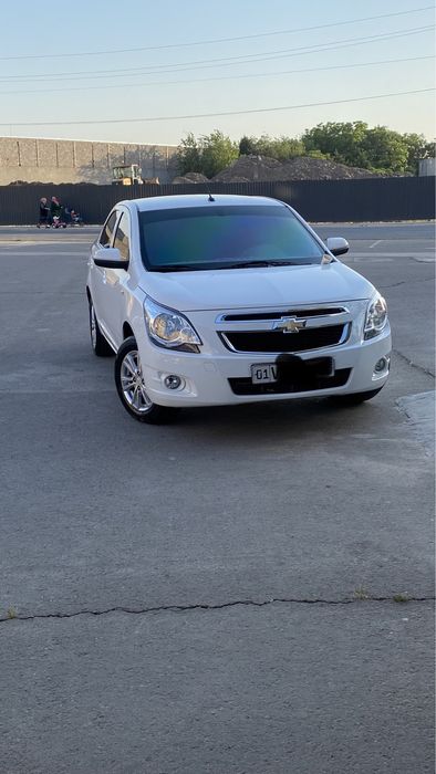 Cobalt full 2023y