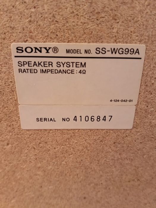 Сам буфер Сонни ss wg99a