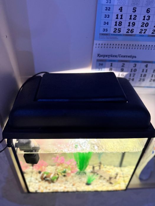 Аквариум сатылады