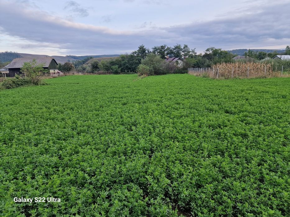 Vand teren intravilan 3500mp,sat Costana, com Todiresti