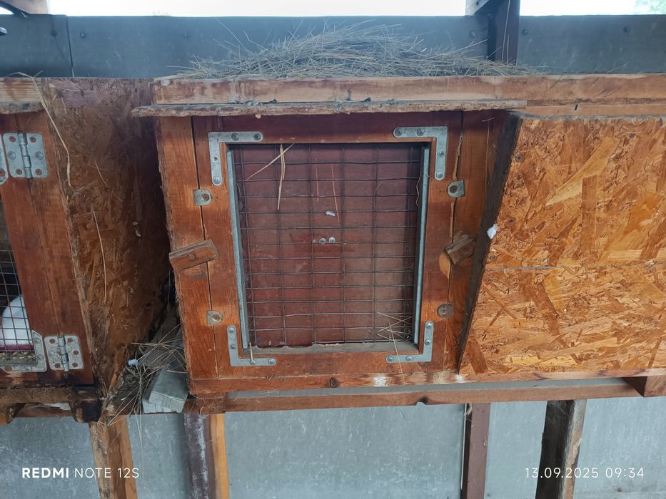 Клетки для кроликов