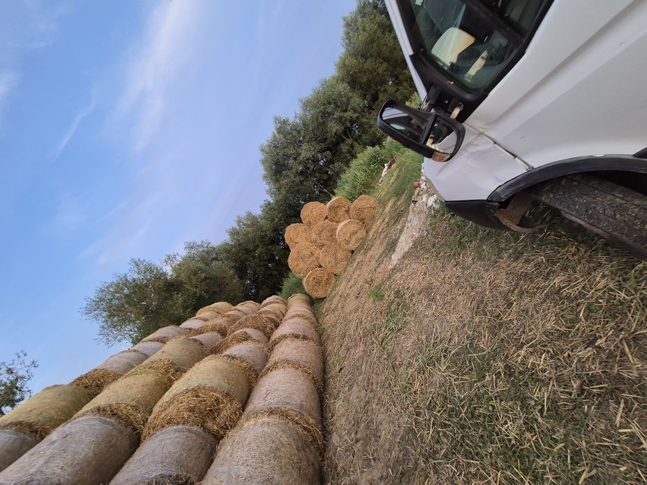 Baloți Lucernă,Paie de Orz,Paie de Grâu
