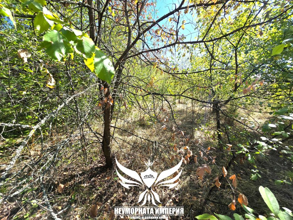 Продавам парцел УПИ с постройки 23кв.м. с 993кв двор село Ахматово