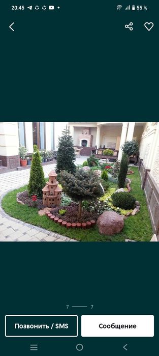 Lanshafd pro xizmatlari